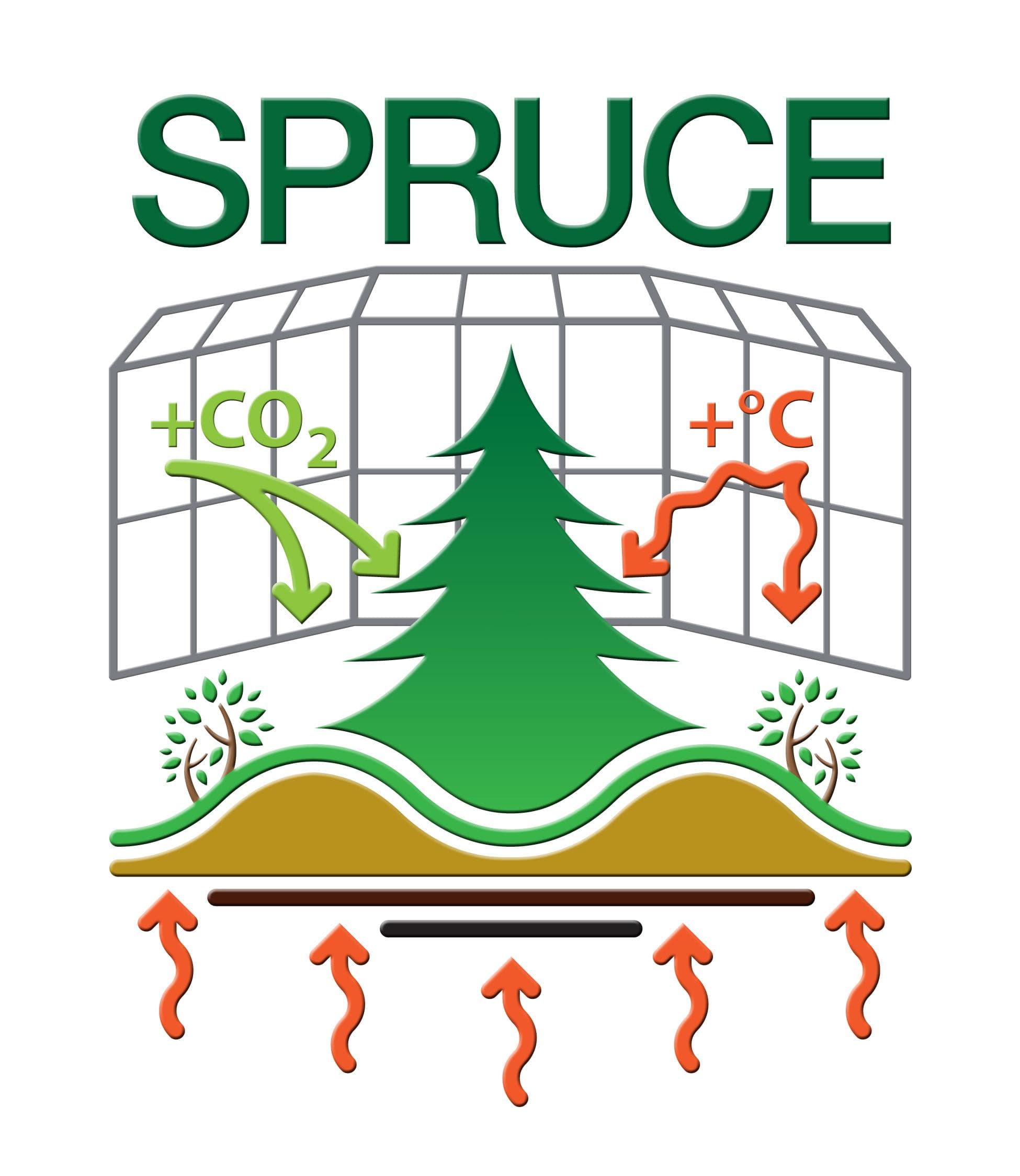 IEJ9B000E_SPRUCE-logo.jpg