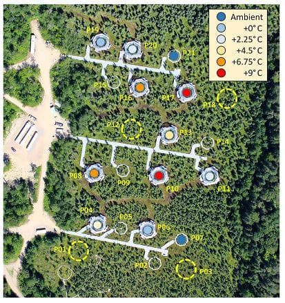 IEJ9B000E_SPRUCE_treatments_Hanson_2017 (1).jpg